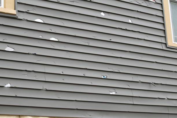 Affordable Siding Repair and Maintenance Services in Irondale, GA